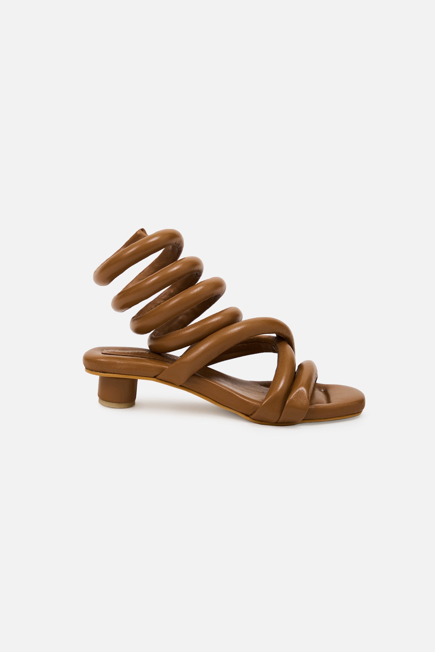 Cordelia Camel