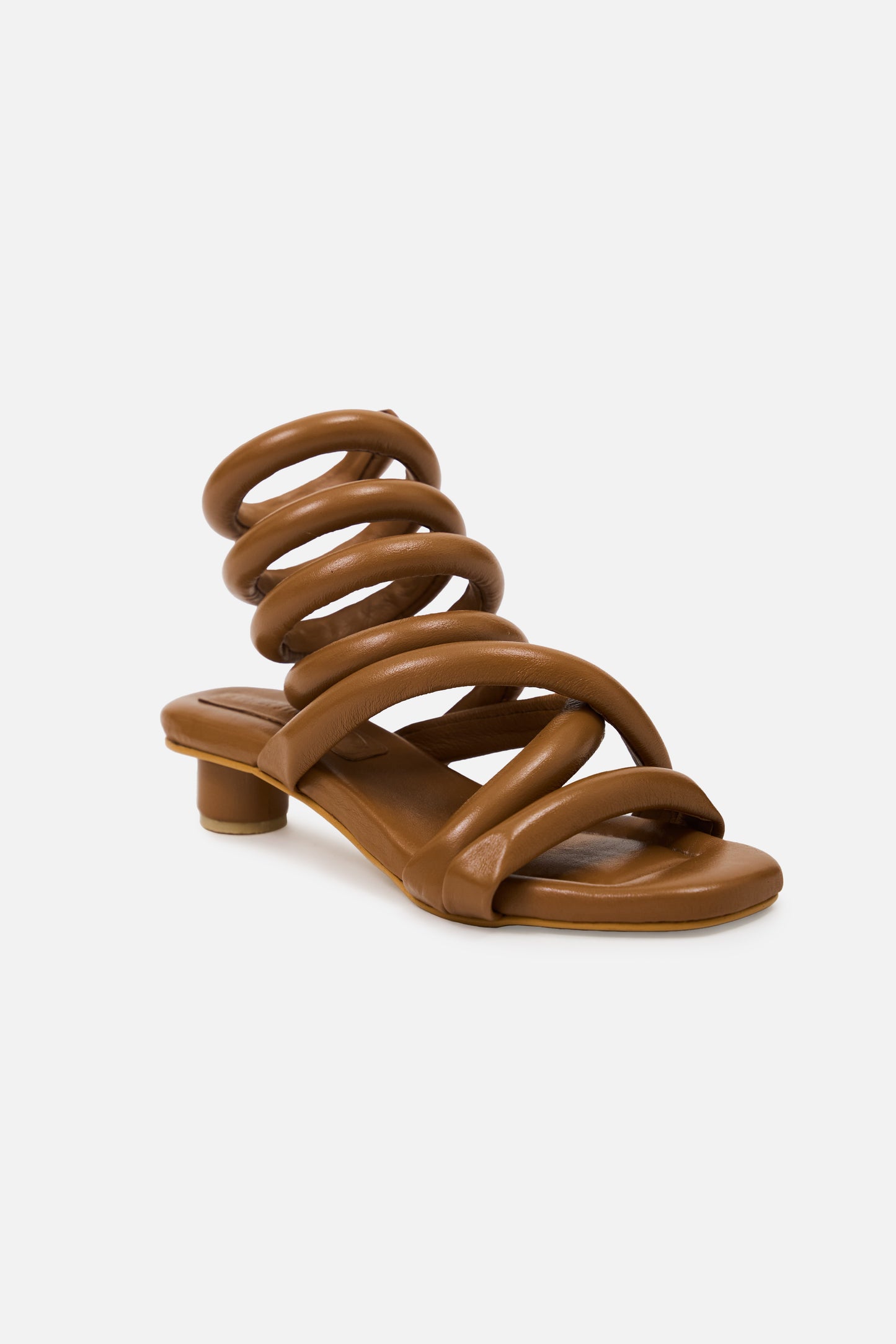 Cordelia Camel
