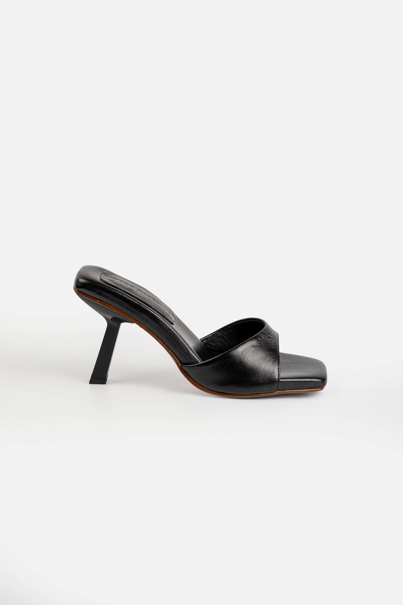 PALOMA NEGRO