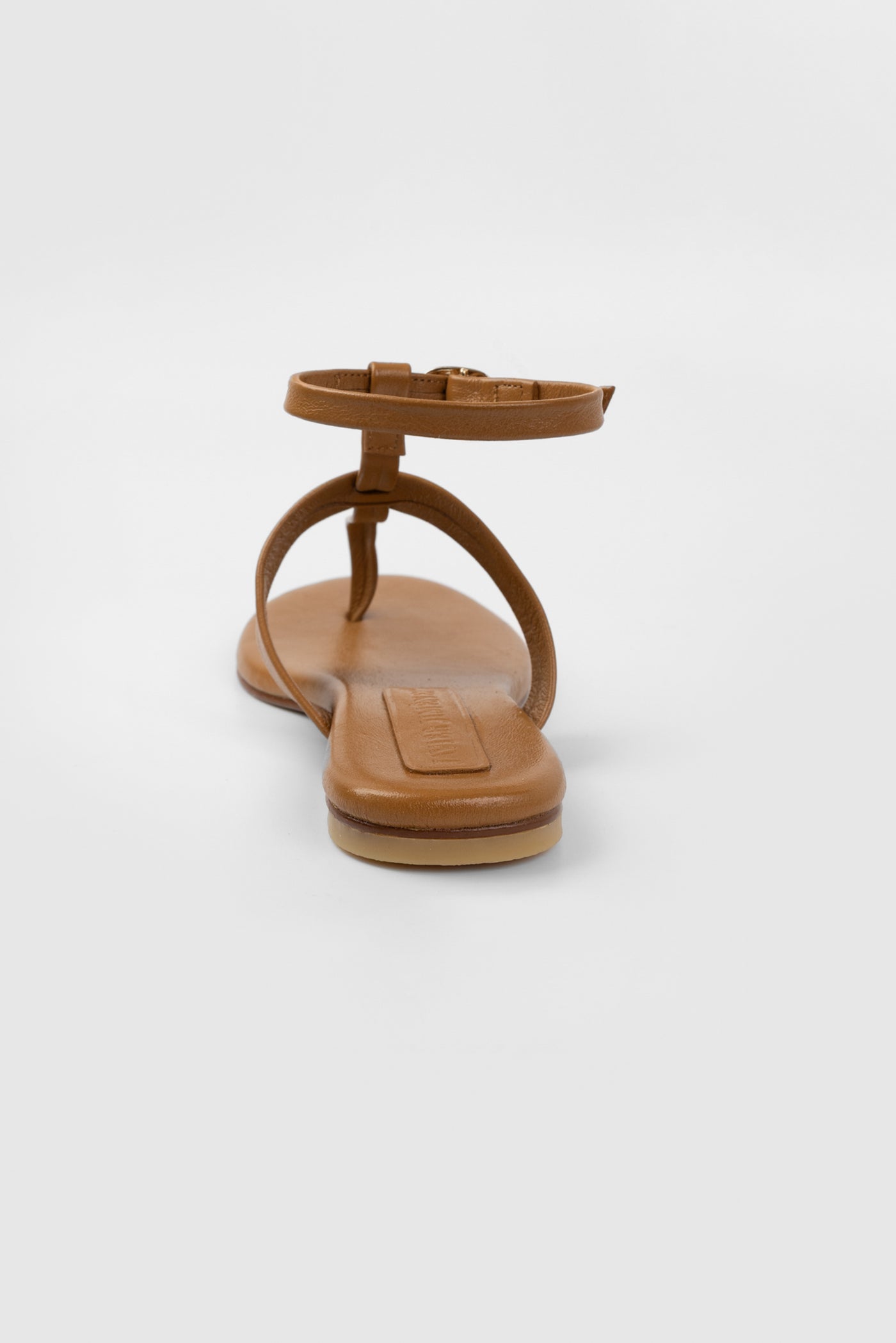 MAYA CAMEL