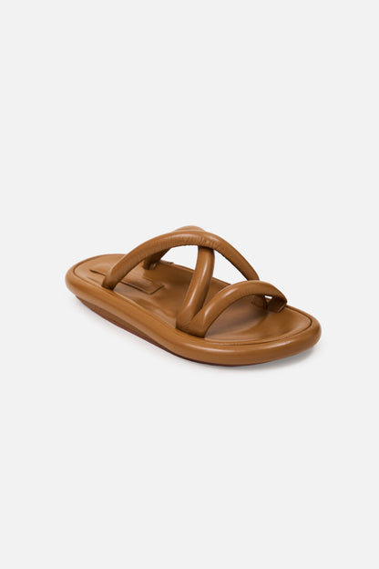 Cornelio Camel