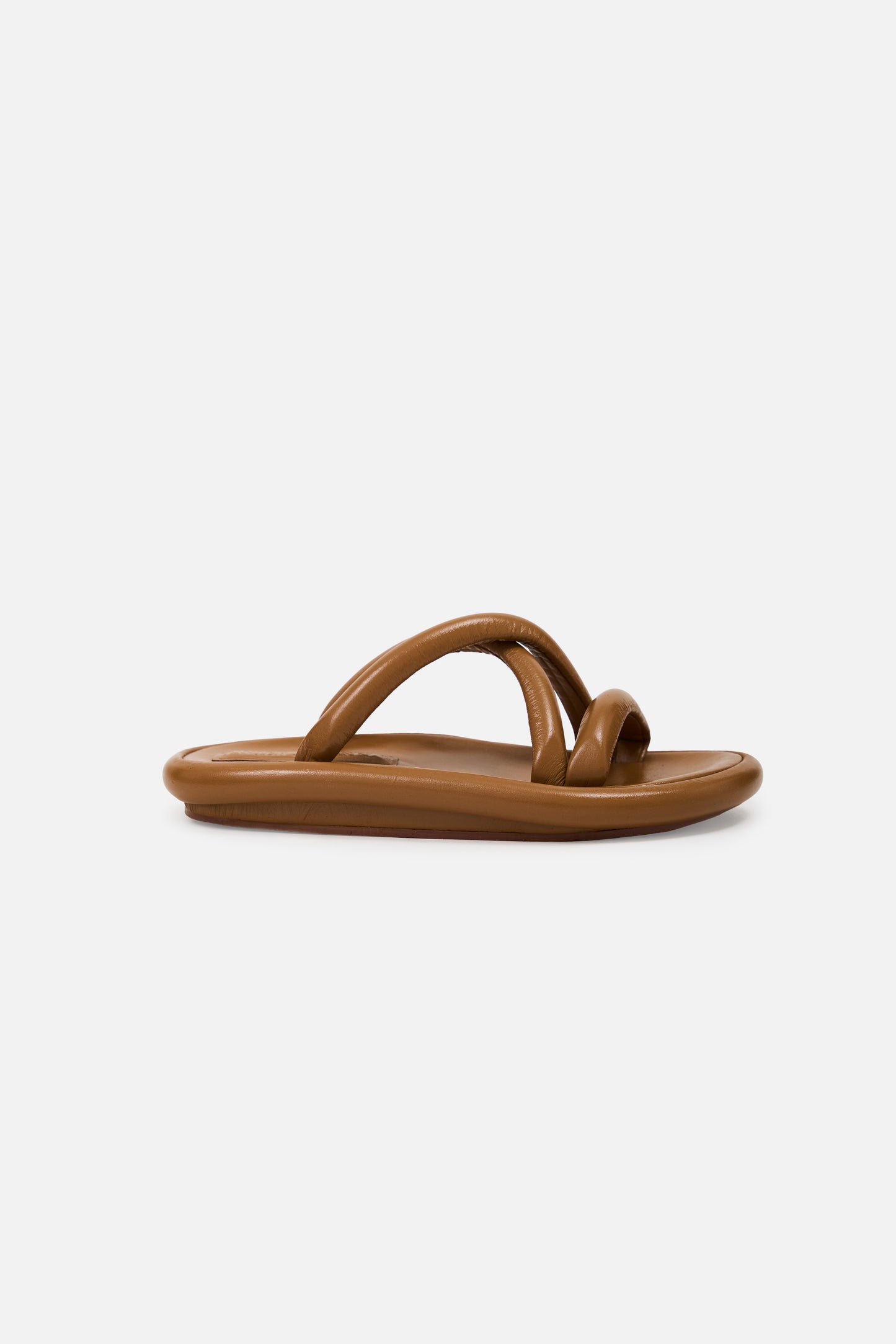 Cornelio Camel