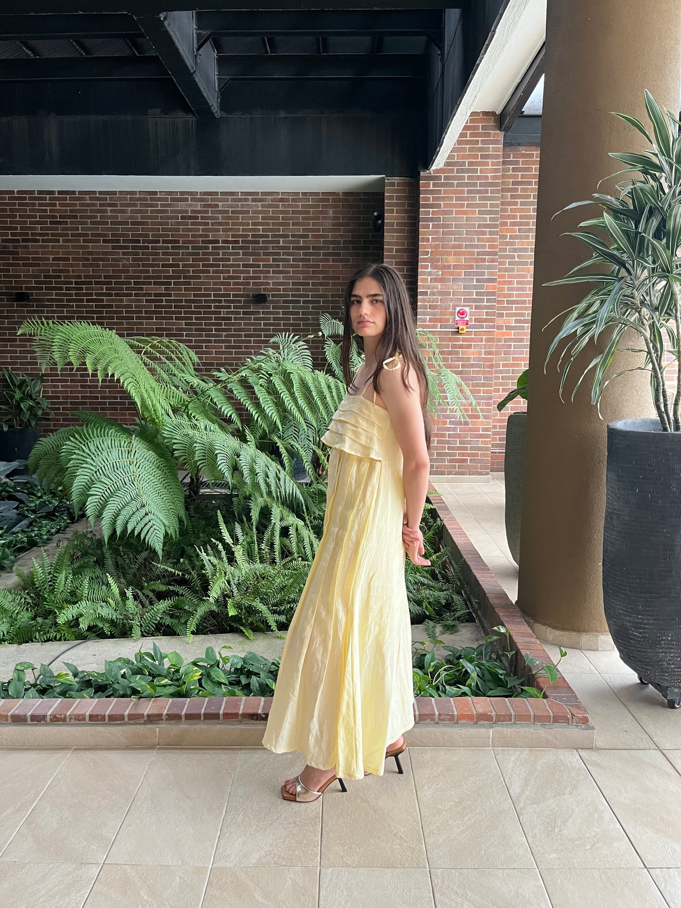 PALOMA GOLDEN