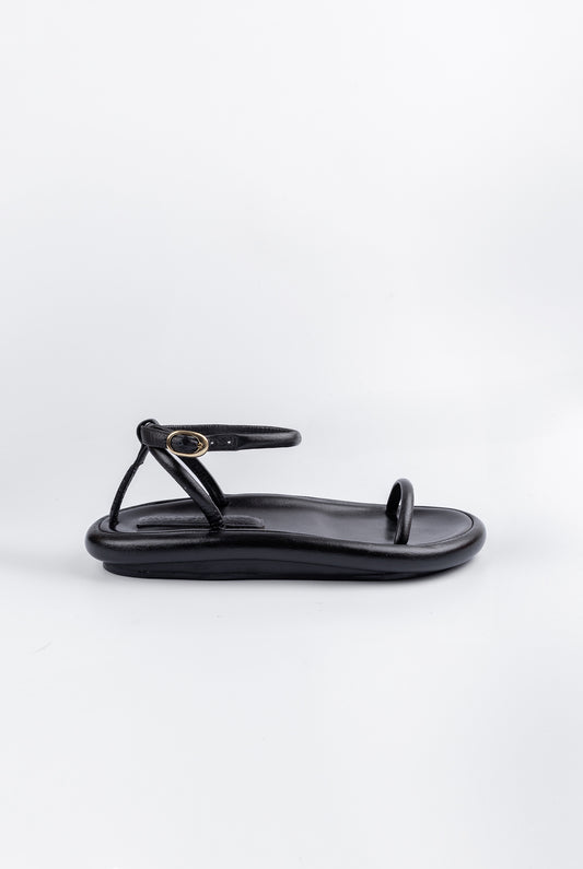 Tracia Negro