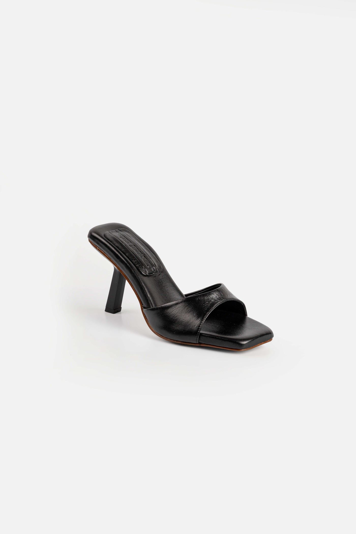 PALOMA NEGRO