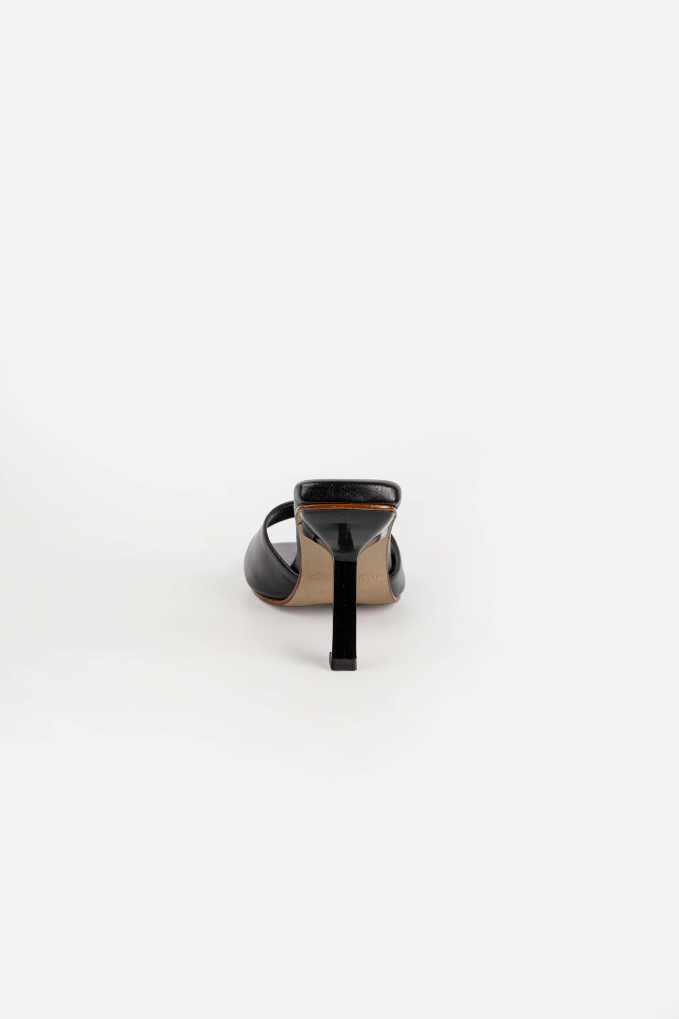 PALOMA NEGRO