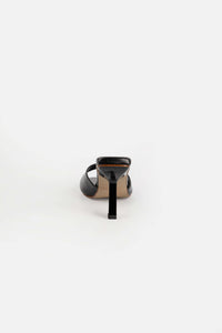 PALOMA NEGRO