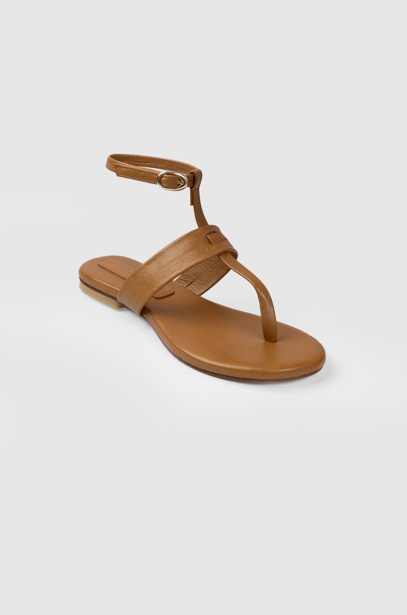 MAYA CAMEL
